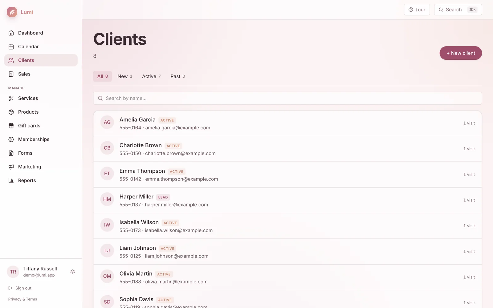 Lumi Salon screen 3